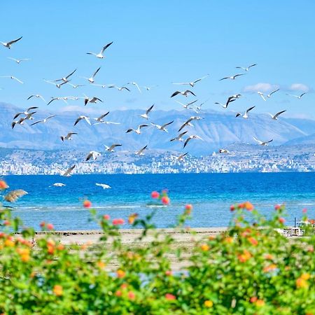 Nikos Kalamaki Corfu Απραός Εξωτερικό φωτογραφία